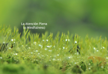 Es hora de pensar en mindfulness. Podría ayudar.