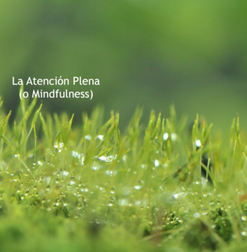 Es hora de pensar en mindfulness. Podría ayudar.